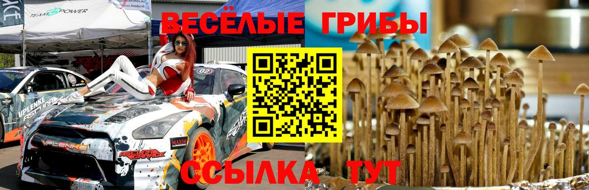 Псилоцибиновые грибы Psilocybine cubensis Дзержинск