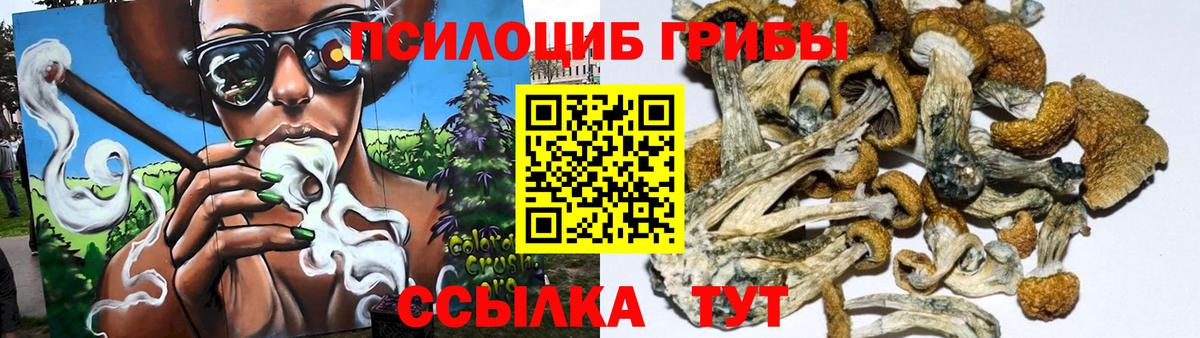 Дзержинск  Псилоцибиновые грибы GOLDEN TEACHER  Вход с VPN 